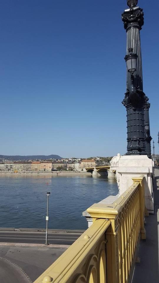 New, High Quality Apartment In The City Center Budapest Eksteriør bilde